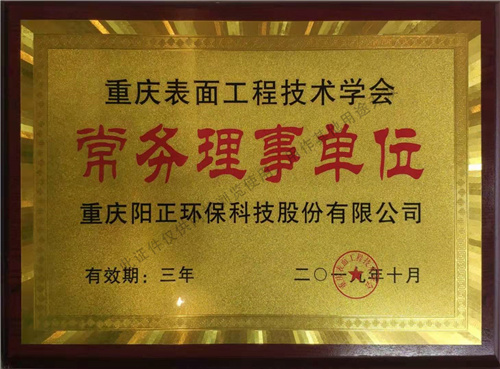 重庆表面工程技术学会常务理事单位
